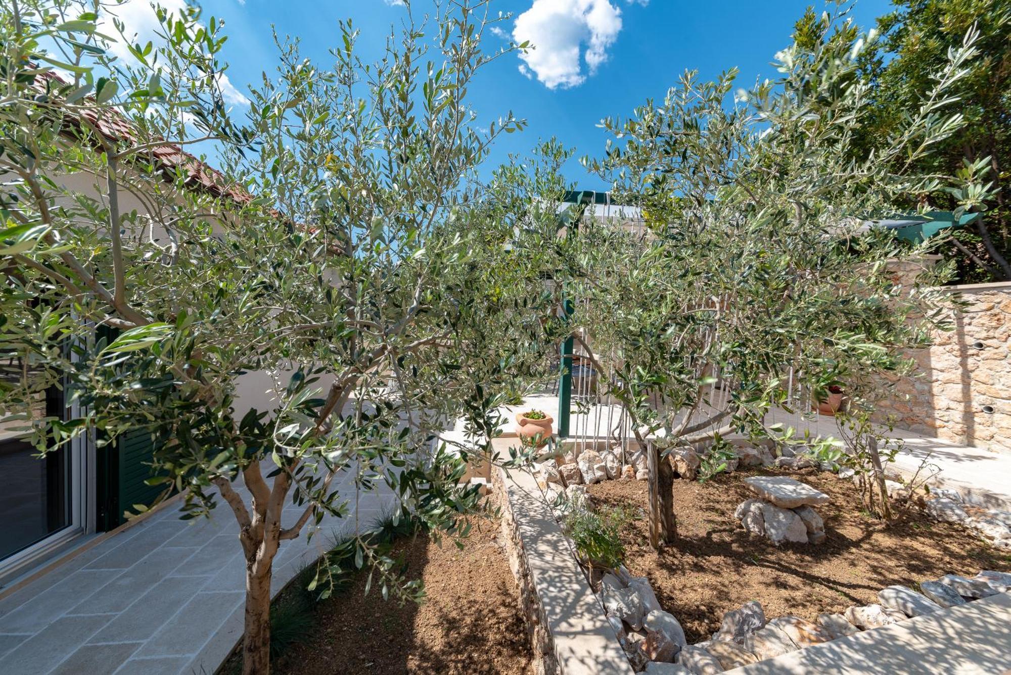 Casa Ol'Bol - Modern Apartment With Seaview And Private Large Backyard Exterior foto